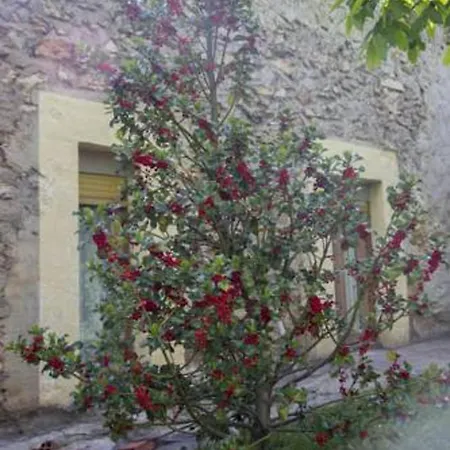 Casa De 6 En Abejar, Con Jardin Cerrado * Cubilla